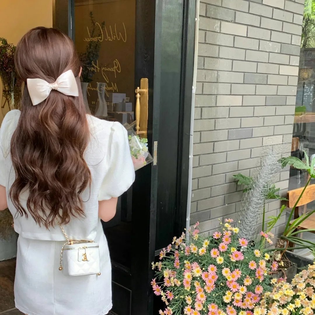 海豚的故事2
